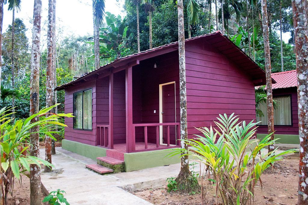 La Flora Prakruth Resort Coorg Madikeri Exterior photo
