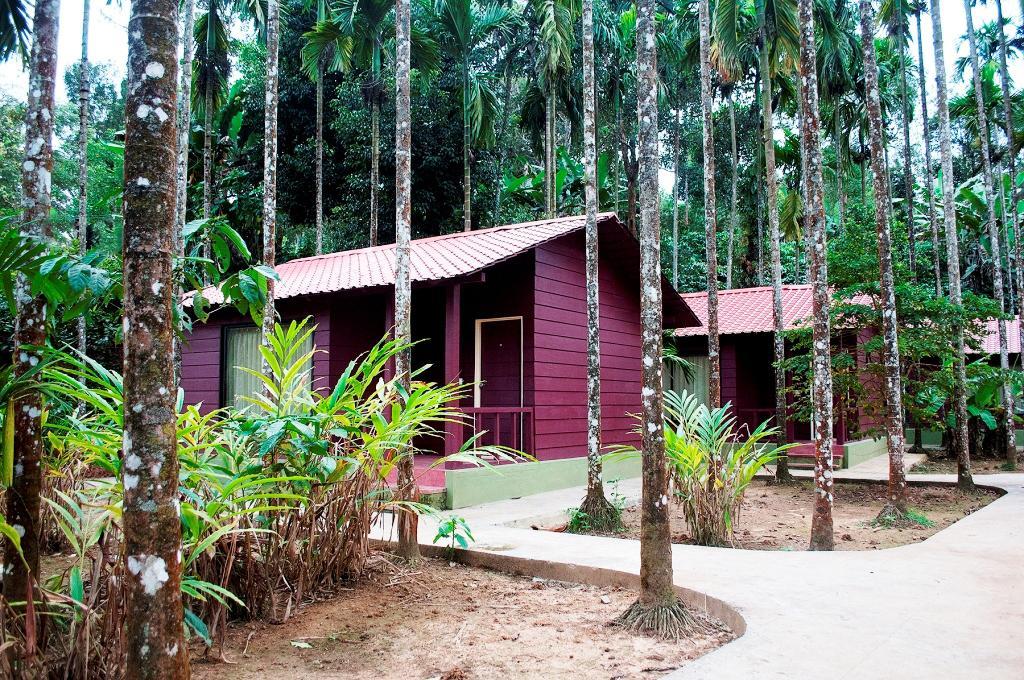La Flora Prakruth Resort Coorg Madikeri Exterior photo